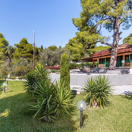 Skopelos Country House Diamantis & Chrisi Agnontas Exteriör bild