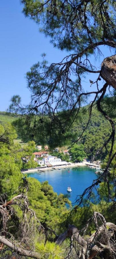Skopelos Country House Diamantis & Chrisi Agnontas Exteriör bild
