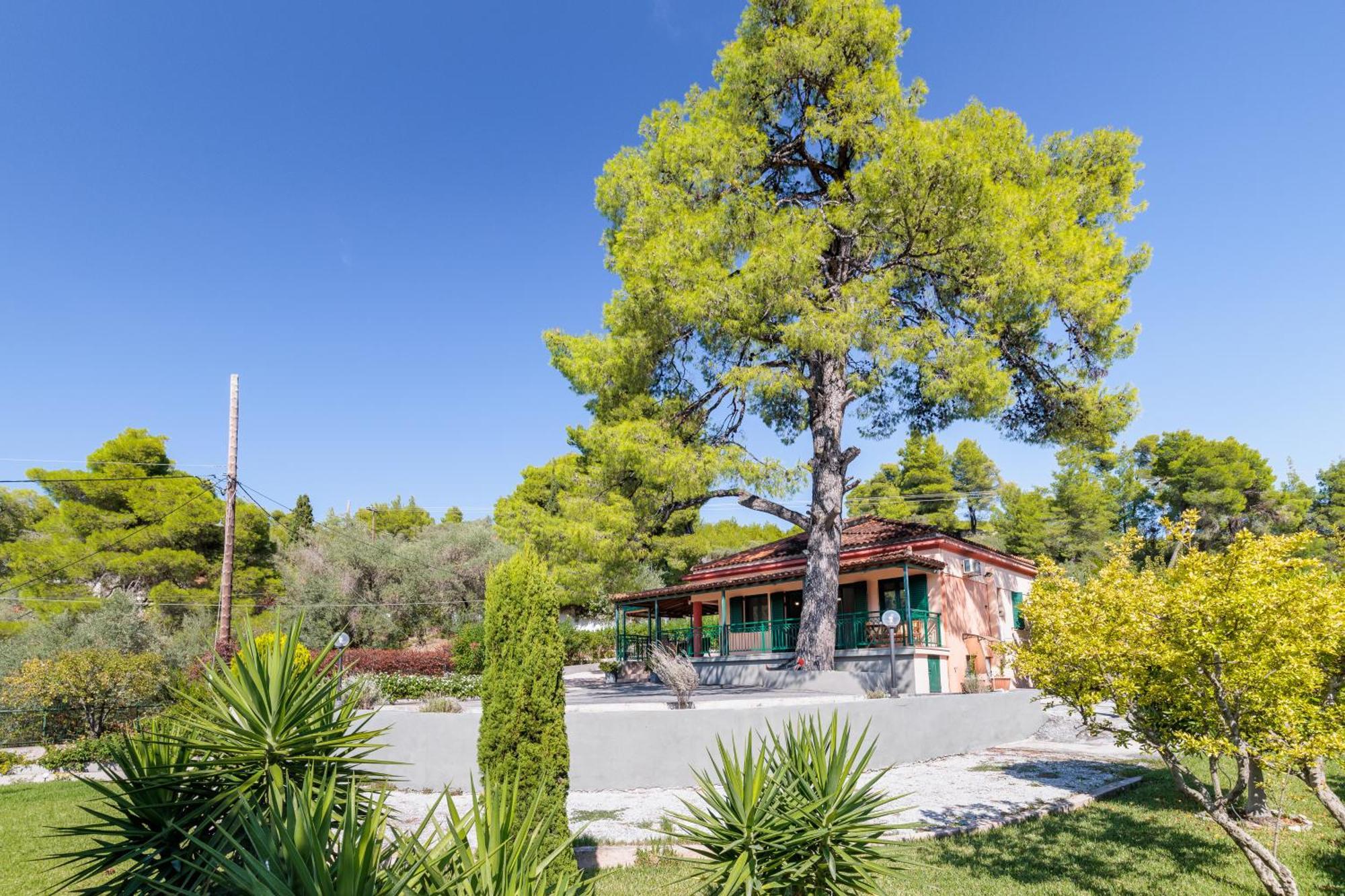 Skopelos Country House Diamantis & Chrisi Agnontas Exteriör bild